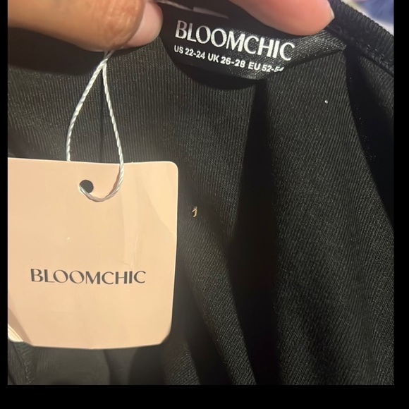 BloomChic Floral Elegance Maxi dress Black, Cream, and Blue size 22-24 - Picture 4 of 4